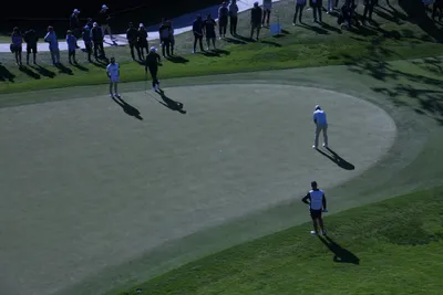 DSC_0727 (Large).JPG